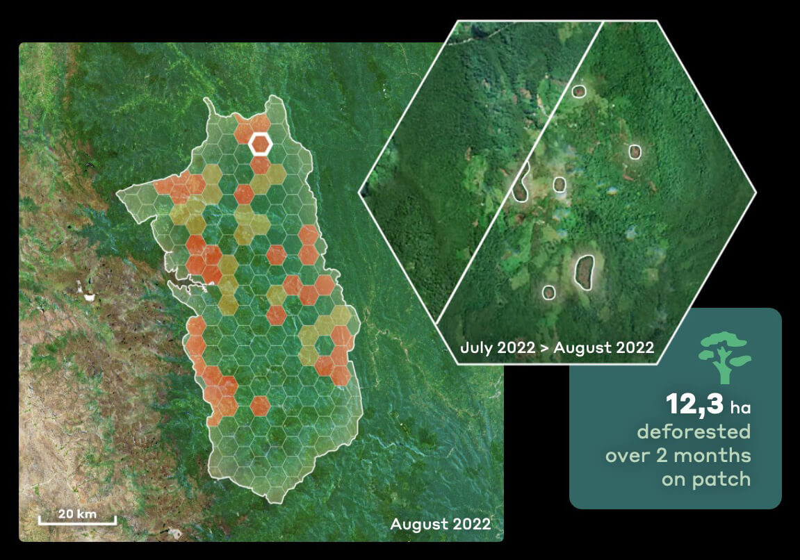 Visualization of deforested areas through satellite imagery