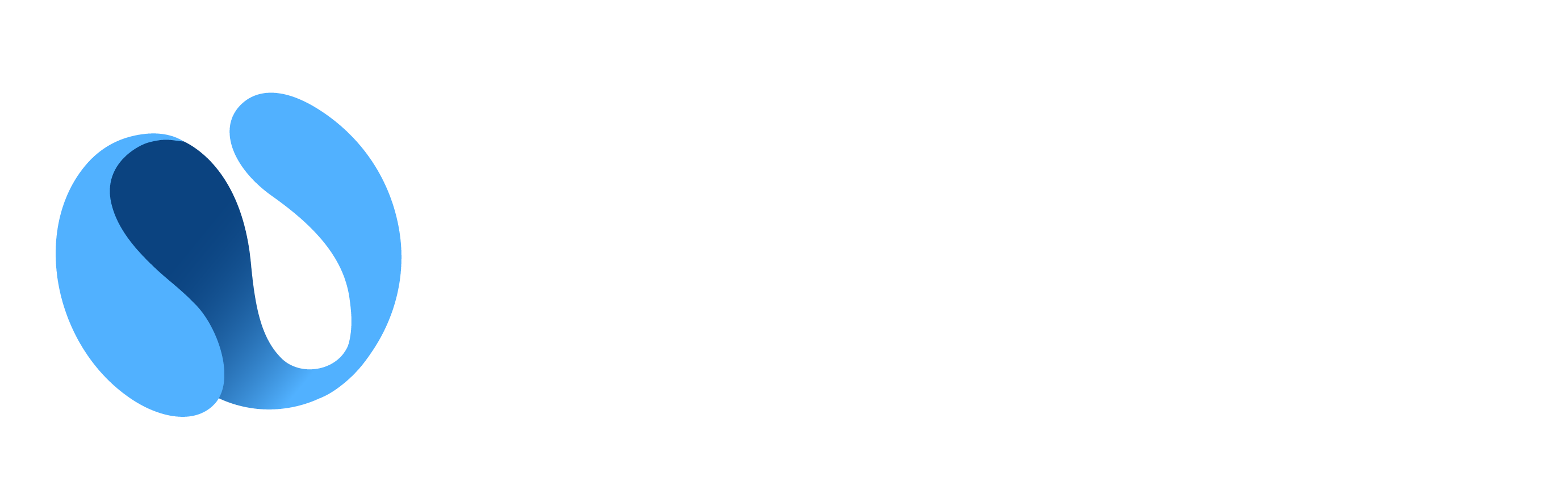 Logo Nimbo by Kermap