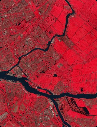 Satellite image in infrared color