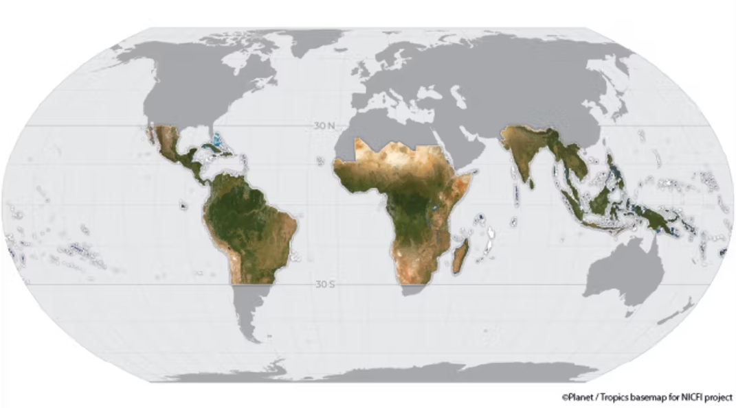 Formerly free Nicfi satellite map of tropical forest