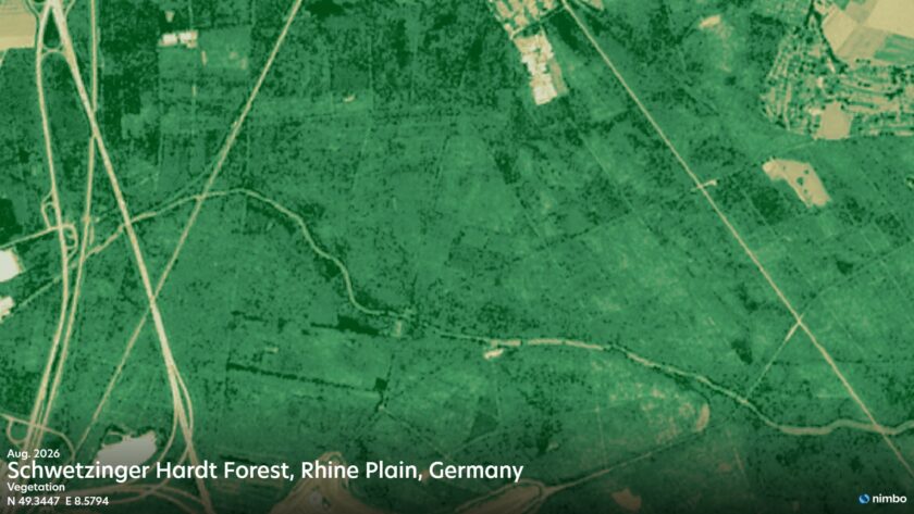 NDVI comparison of Schwetzinger Hardt forest on the Rhine plain, Germany, showing vegetation stress in August 2026 compared with August 2025.